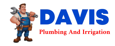 Trusted plumber in WALSH